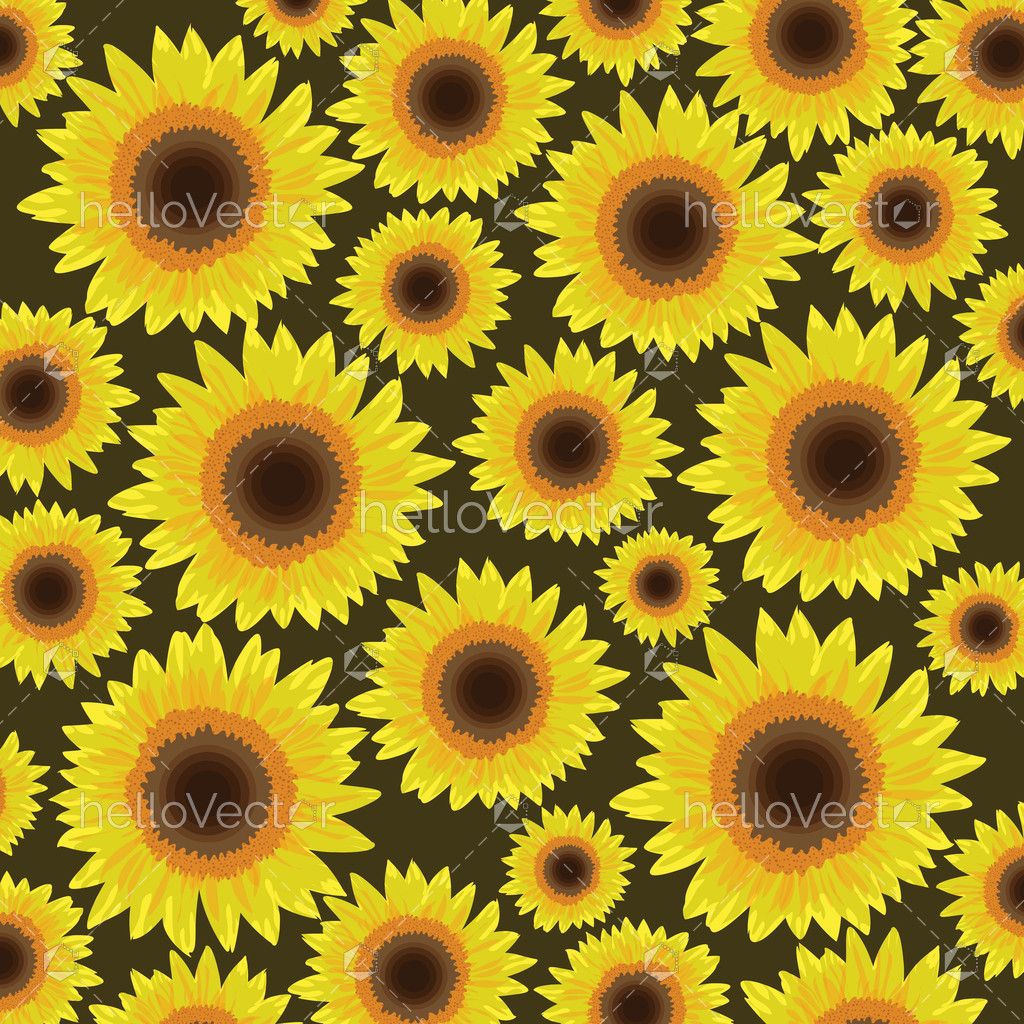 Sunflower seamless pattern background - Vector illustration - Download  Graphics & Vectors