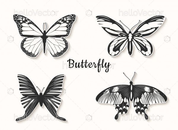 Butterfly line drawing - Vector Illustration