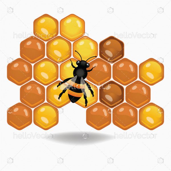 Bee On Honeycombs Illustration Download Graphics Vectors