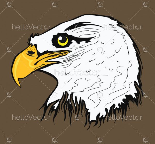 Bald eagle head vector