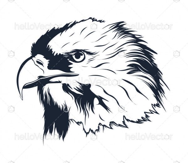 Eagle side face silhouette