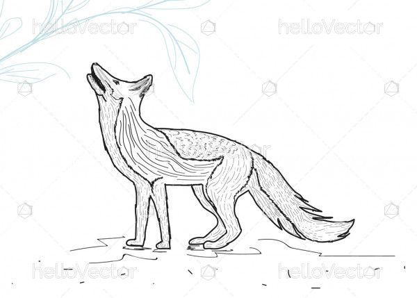 Hand drawn fox sketch - Vector