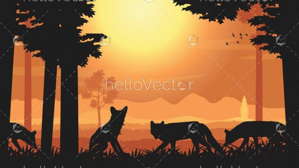 Group of red fox at sunset - silhouette background