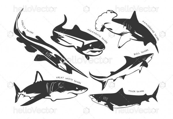 Set of different shark silhouette with names