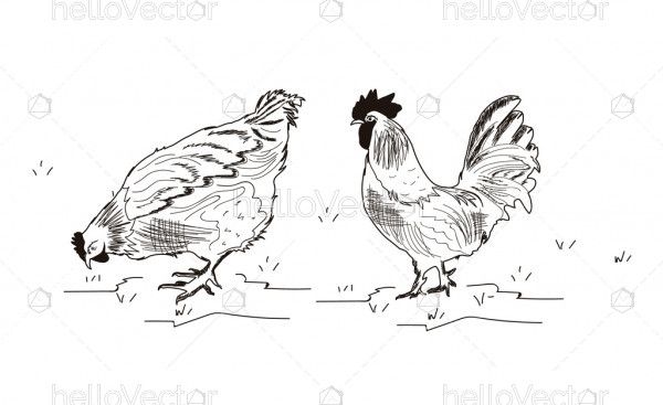 Chicken sketch hand drawn - Vector