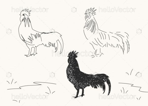 Sketch of rooster - Vector