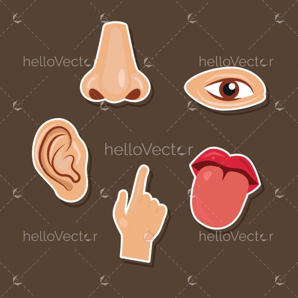 Five human senses vector icon