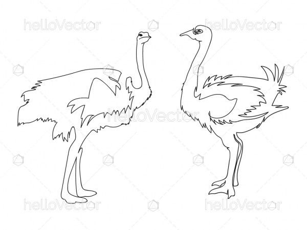 Ostrich line art set