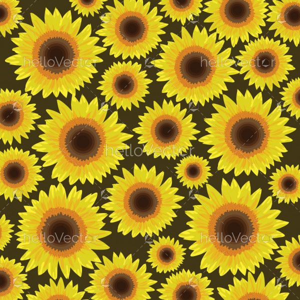 Sunflower seamless pattern background - Vector illustration