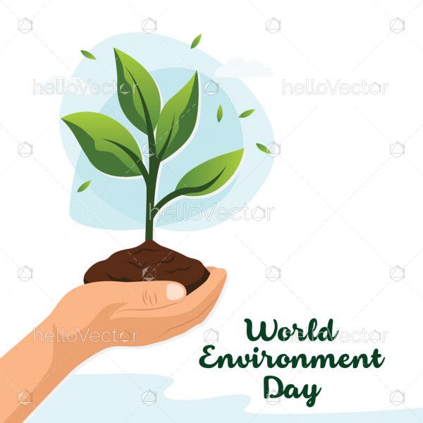 Hand holding plant - Environment day banner