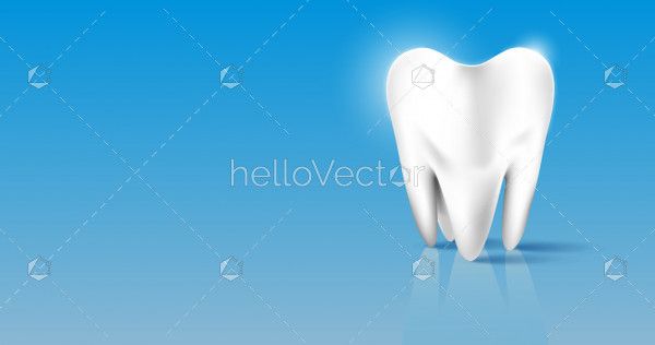 Molar tooth 3d rendering on blue background
