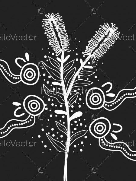 Aboriginal black and white Bottle brush tree art - Illustration