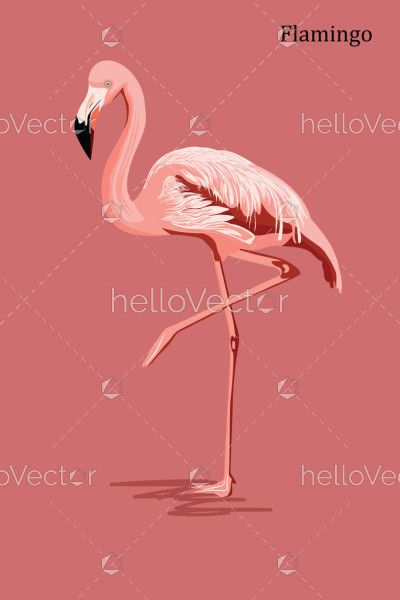 Pink Flamingo Illustration