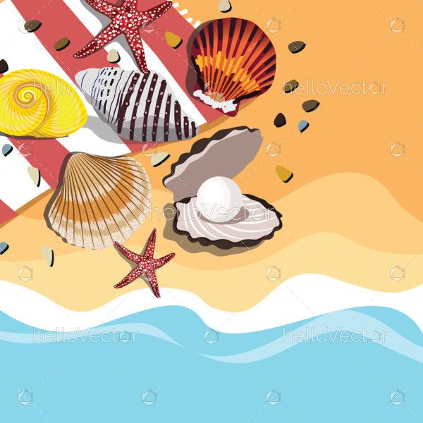 Sea shells and the beach - Vector background