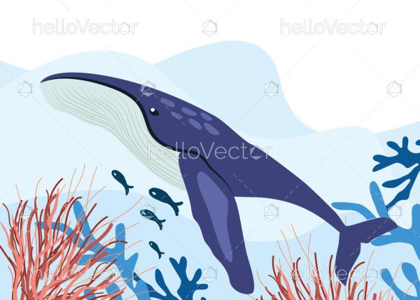 Whale Underwater Flat Illustration