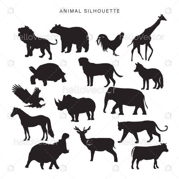 Vector Animals Silhouette Collection