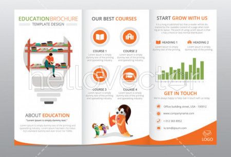 Tri-fold brochure template design. Education concept