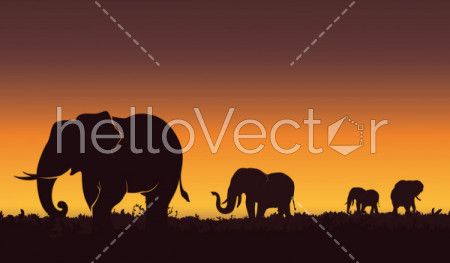 Silhouette landscape illustration of a group of elephants. Beautiful sunset, Nature background - Vector illustration.